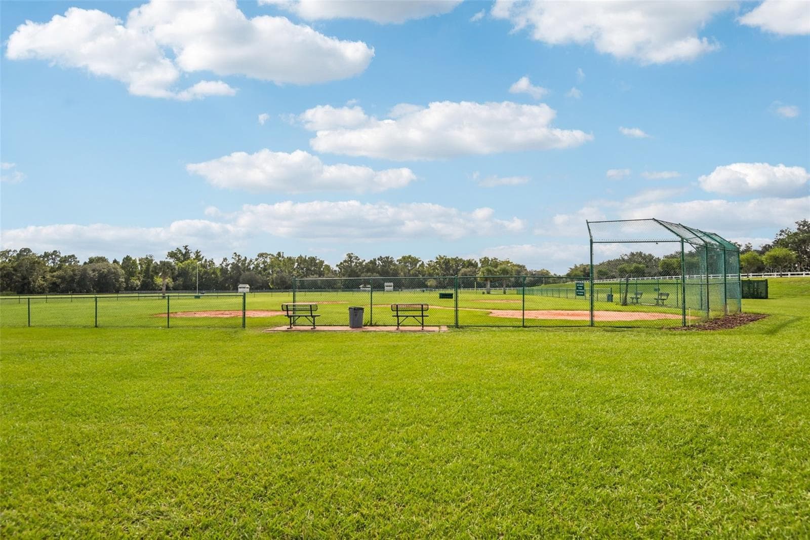 Community Amenities - Community Baseball Field - 3503 OAK CLUB CT, PLANT CITY