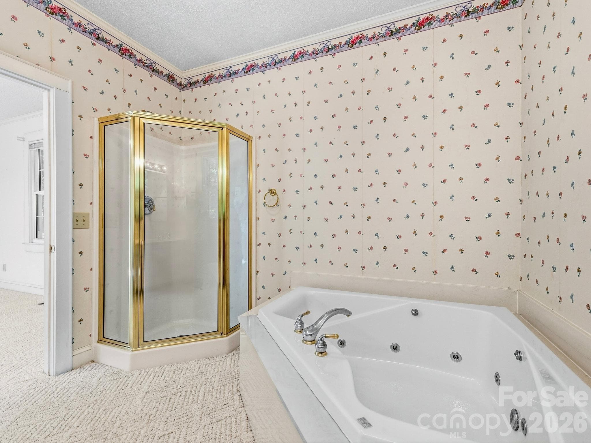 Separate tub and shower - 1308 Charlotte Highway, Fairview