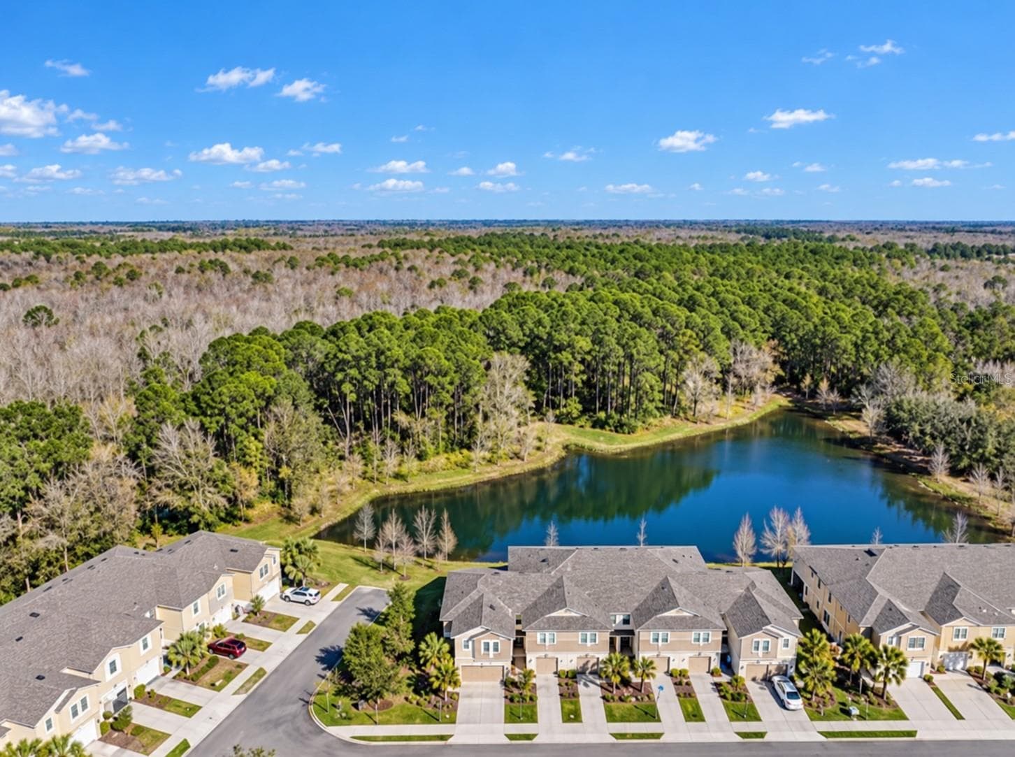 Serene Pond view - 5527 CUMBERLAND STAR CT, LUTZ