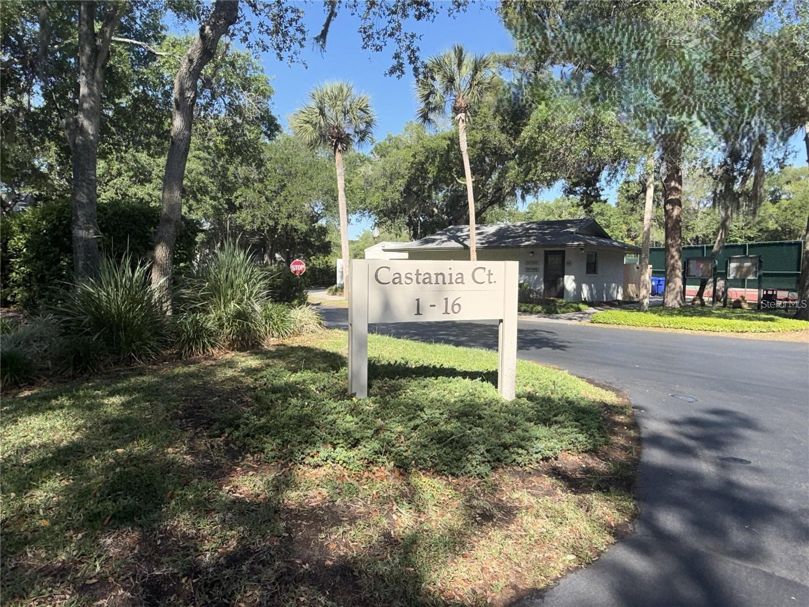 7 CASTANIA CT