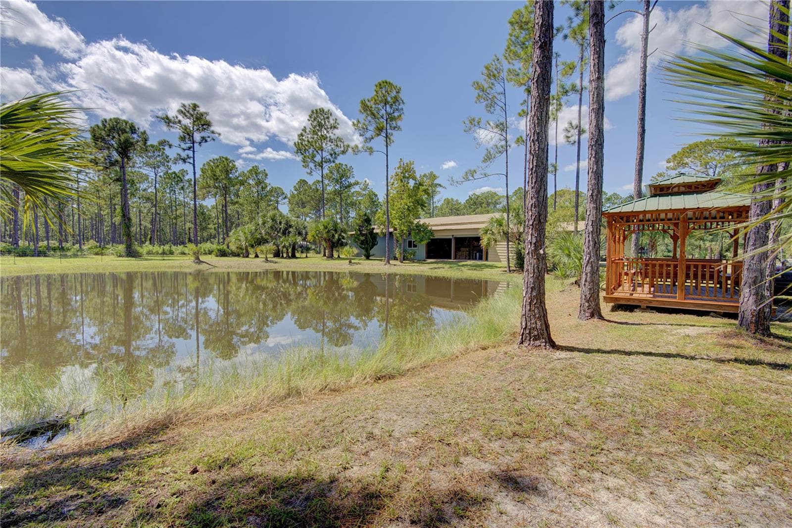 Stocked Pond - 420 SMITH RD, OSTEEN