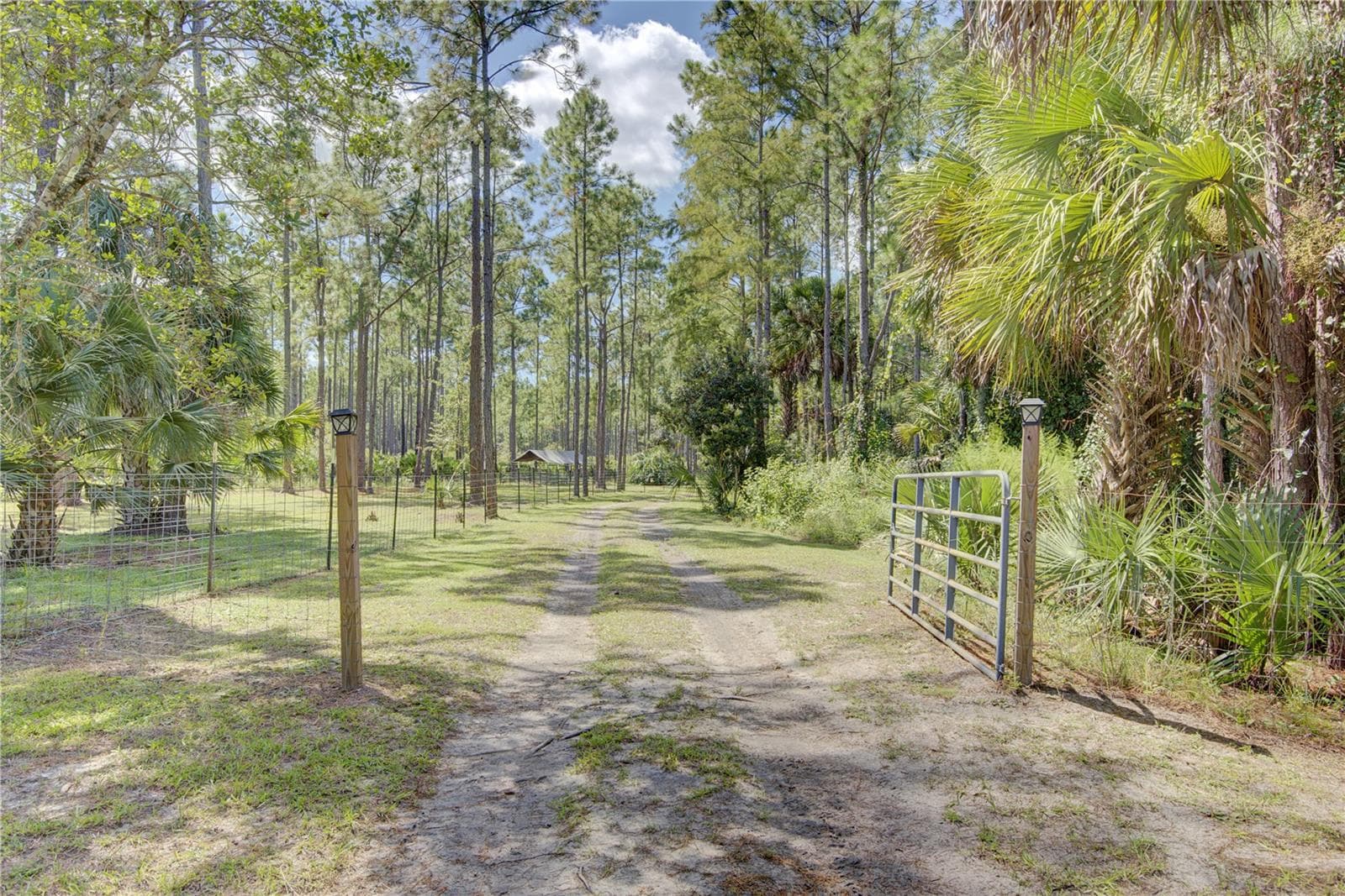 Gate to back pastures - 420 SMITH RD, OSTEEN