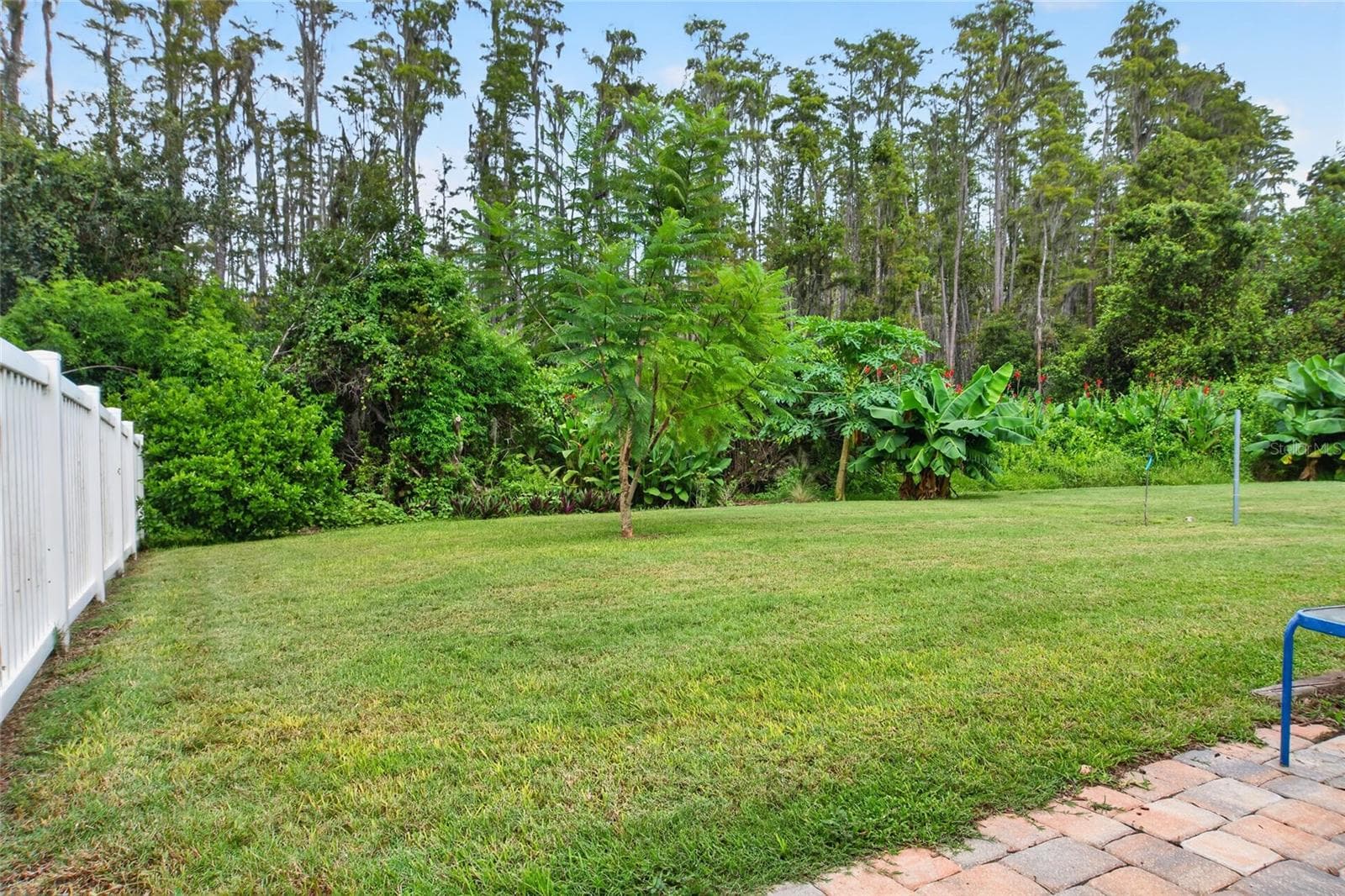 Villa at 19339 EVERTON PL, LAND O LAKES, photo 36 of 63