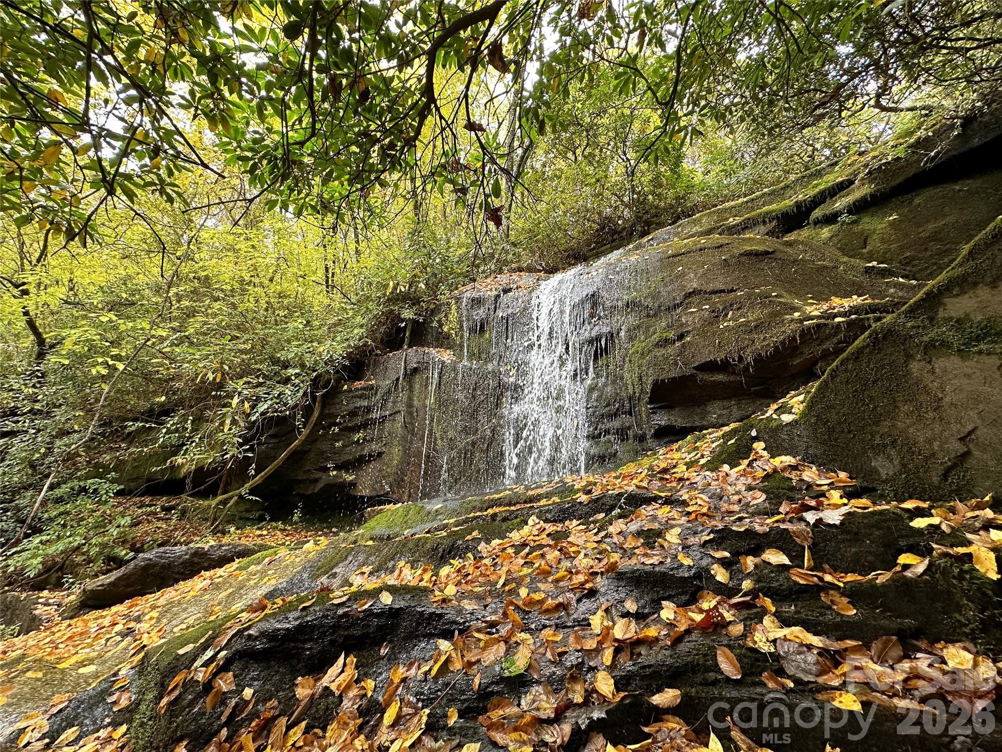 Upper Falls - Brevard