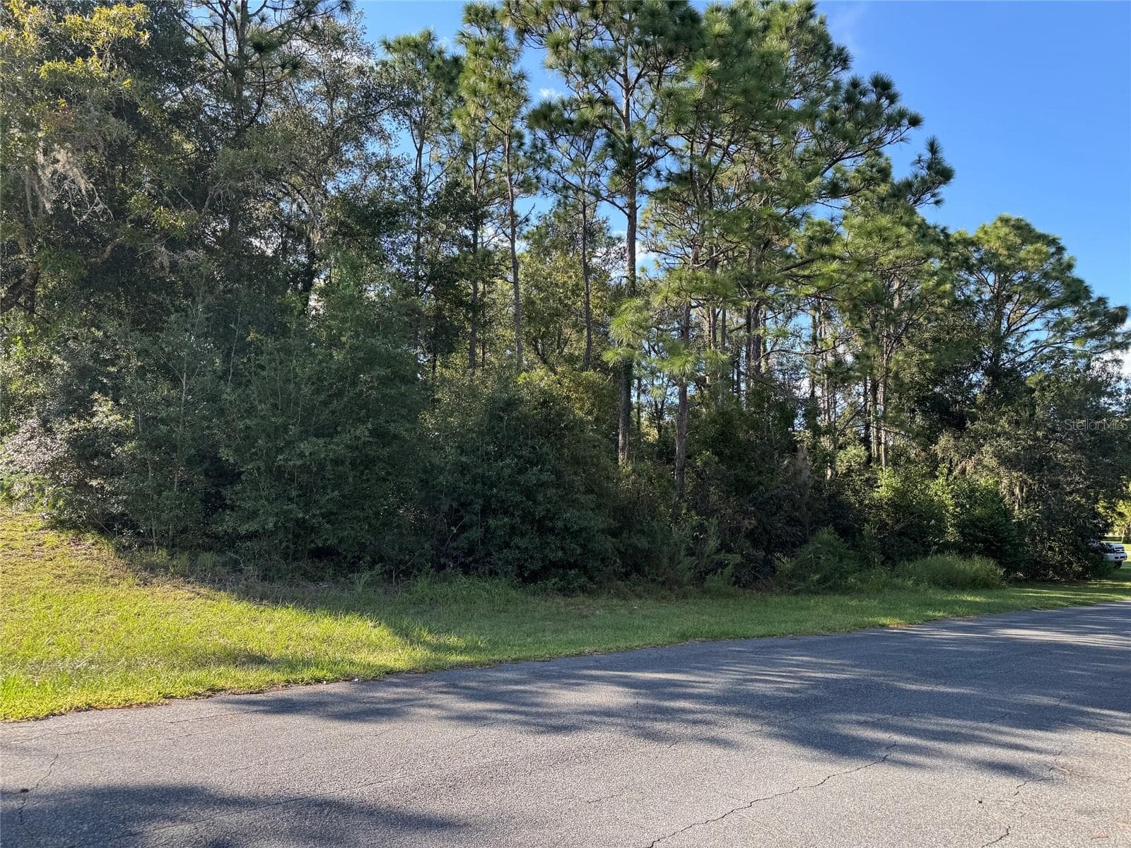 Land at 12434 S CANNA PT, FLORAL CITY, photo 5 of 7