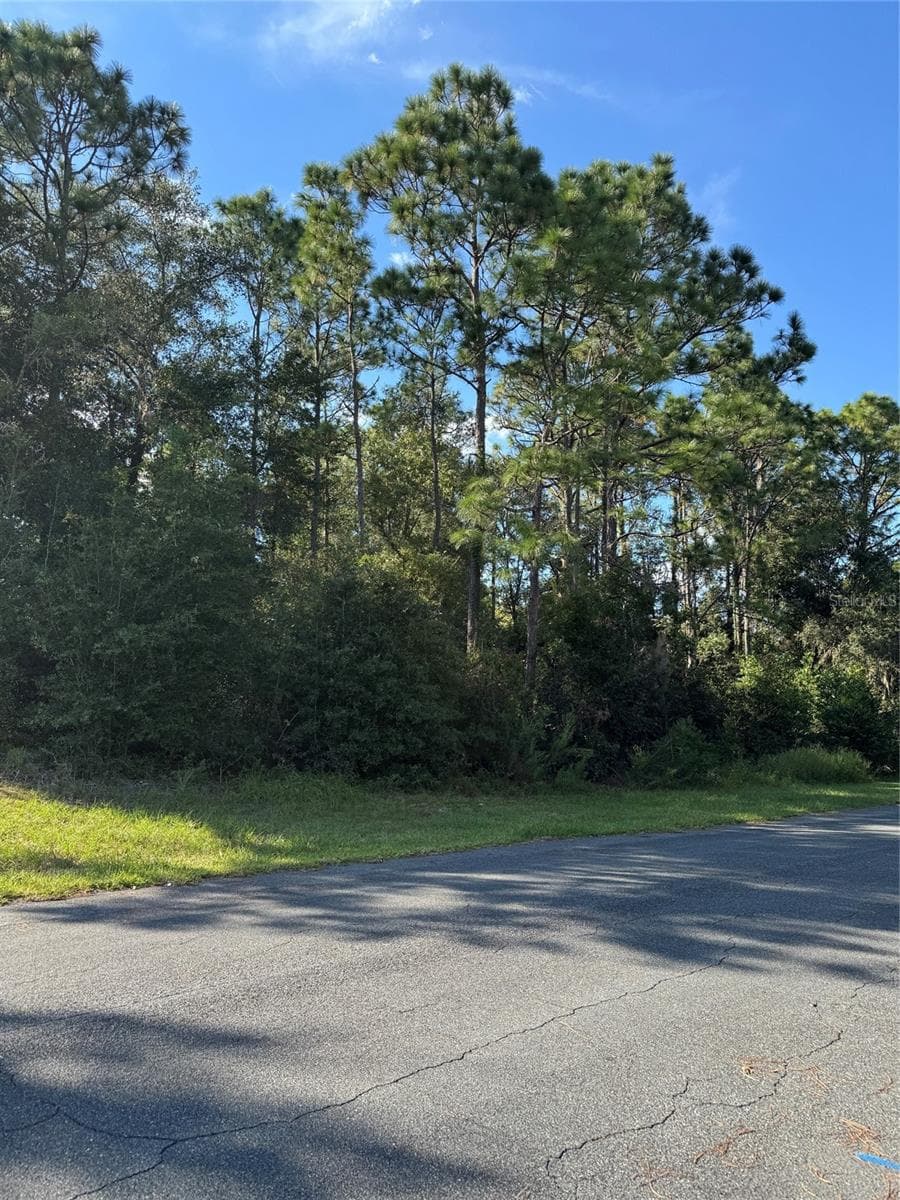 Land at 12434 S CANNA PT, FLORAL CITY, photo 6 of 7