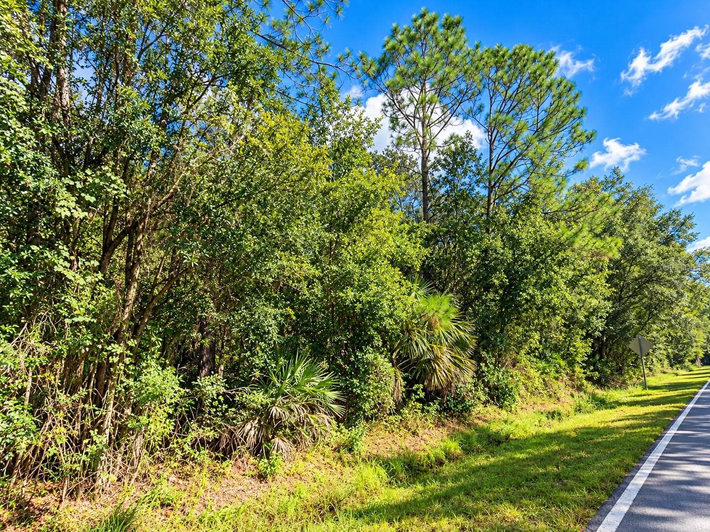 Land at 0 OLD KISSIMMEE RD, DAVENPORT, photo 10 of 10