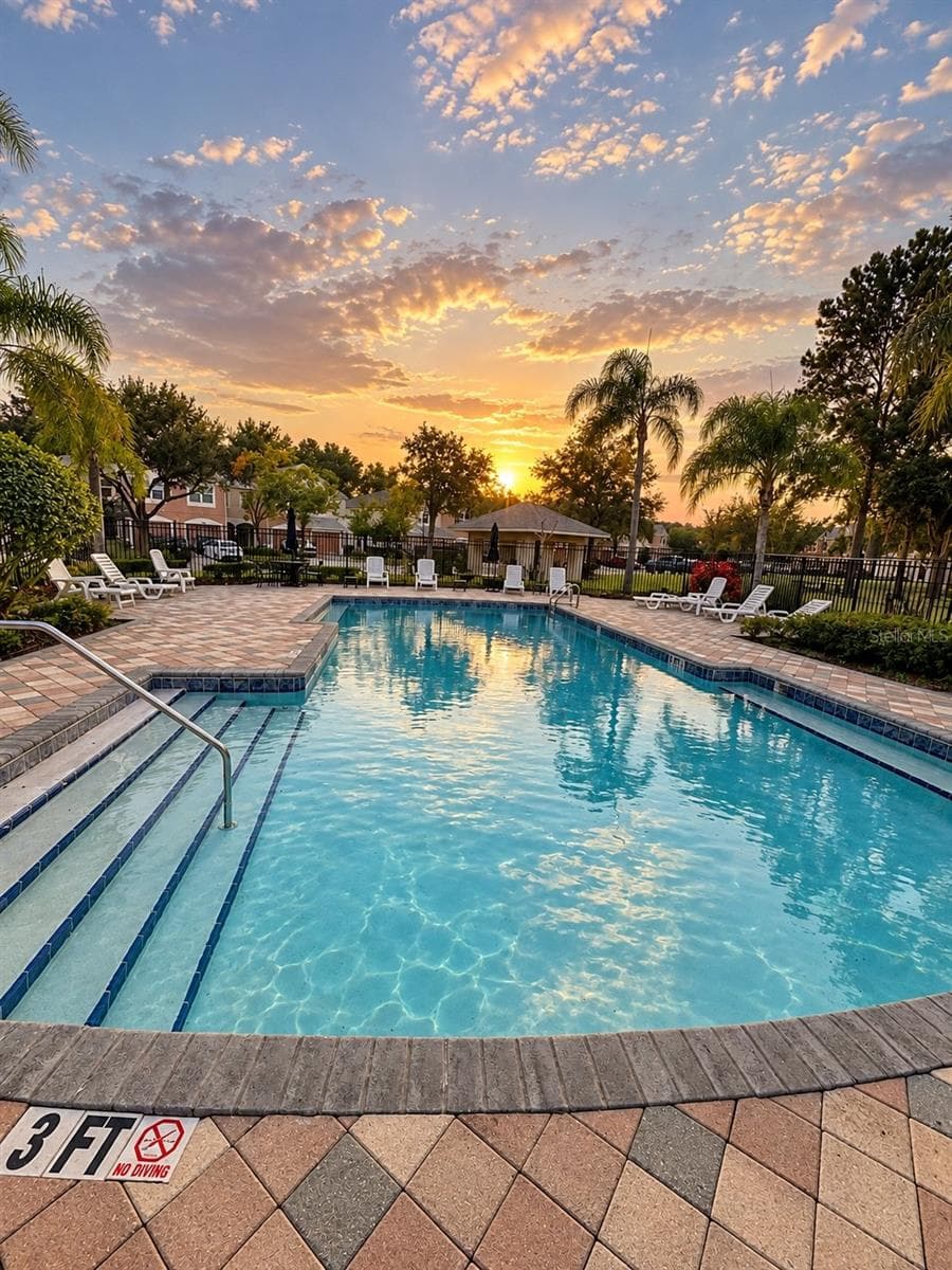 pool - 2520 GLENRISE PL, WESLEY CHAPEL