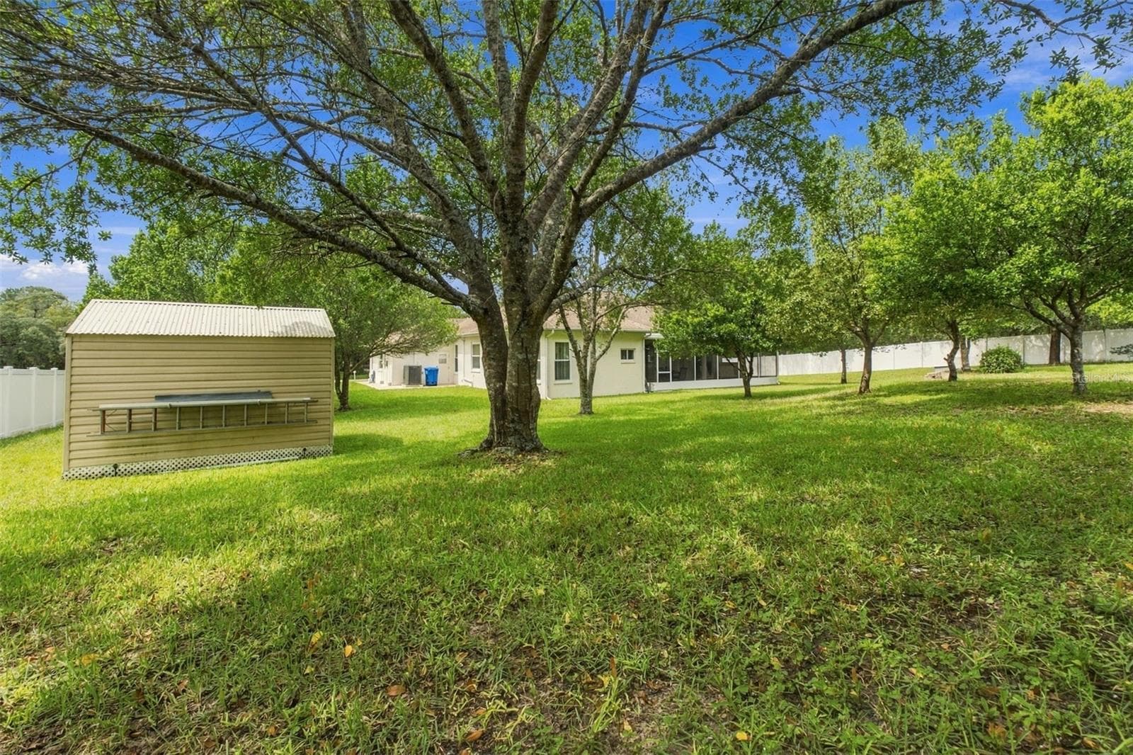 Backyard - 7420 NIGHTWALKER RD, WEEKI WACHEE
