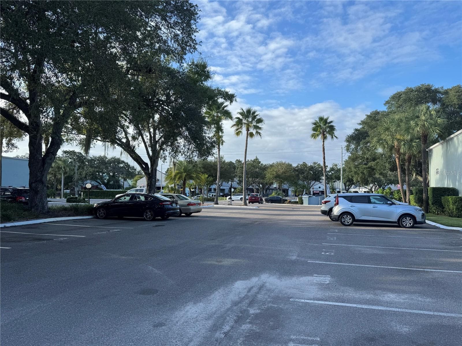 PARKING SPOT LOOKING NORTH TO MAIN COMMUNITY ENTRANCE - 2884 SOMERSET PARK DR #2907, TAMPA