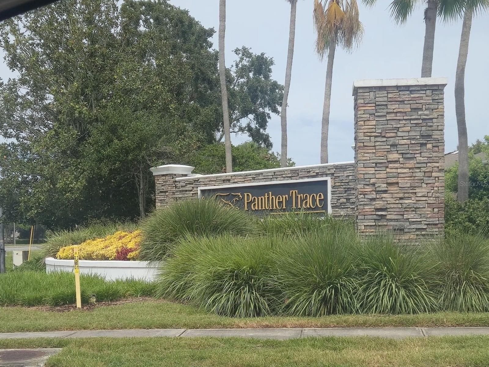 Community Entrancee - 12307 FOXMOOR PEAK DR, RIVERVIEW