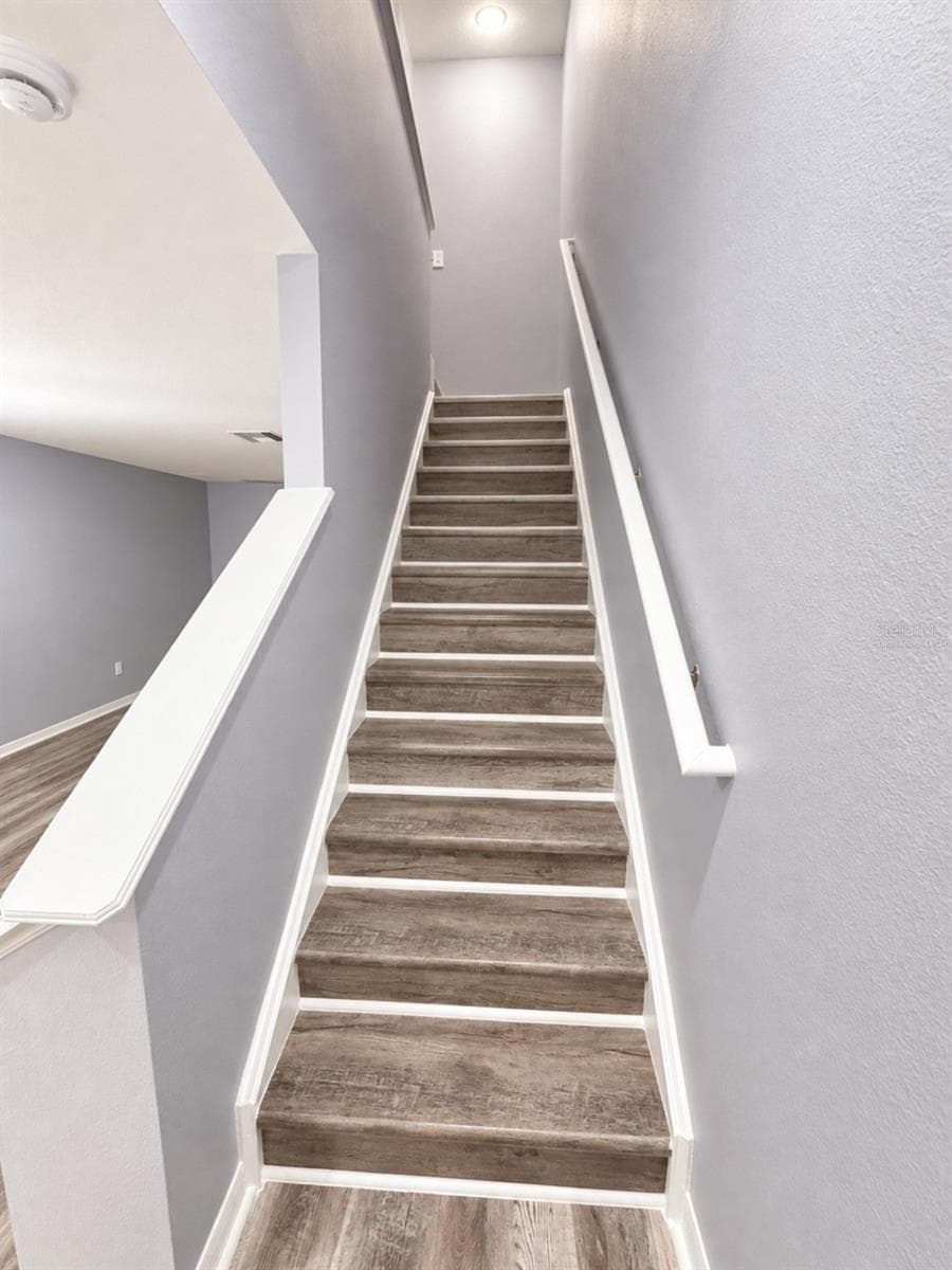 Virtually Staged - Steps - 12307 FOXMOOR PEAK DR, RIVERVIEW