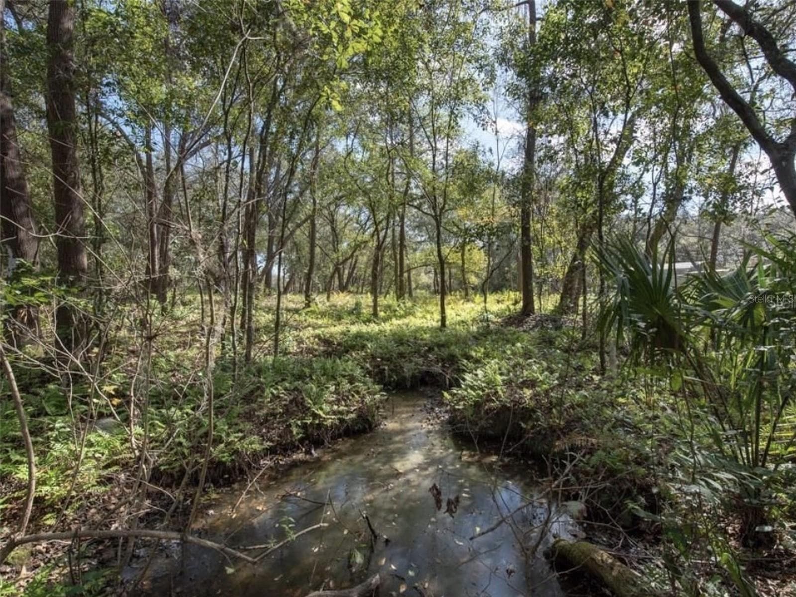 Land at 6513 S COUNTY LINE RD, PLANT CITY, photo 8 of 26
