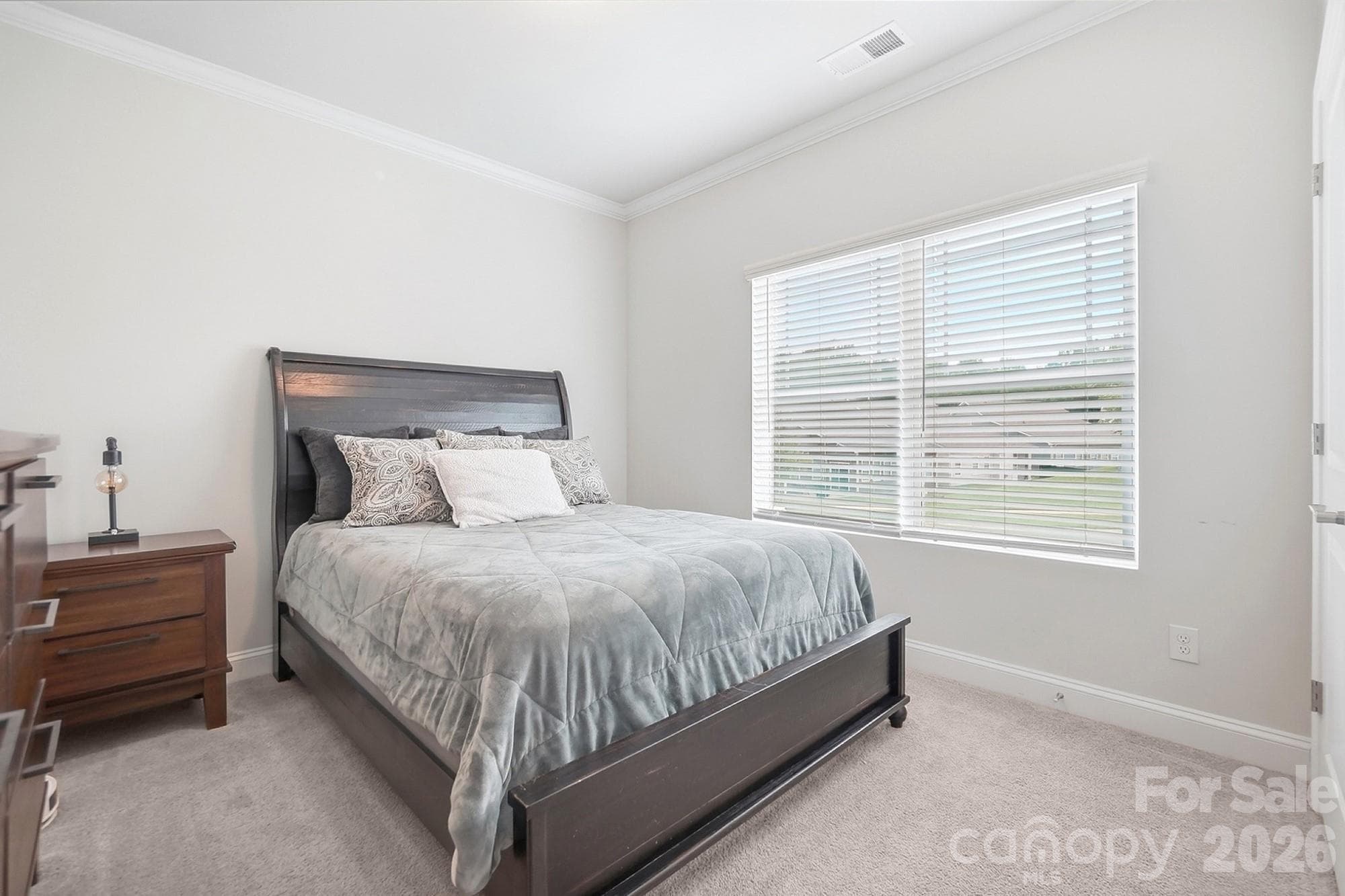 Secondary bedroom with carpet - 5112 Natural Path Lane, Waxhaw