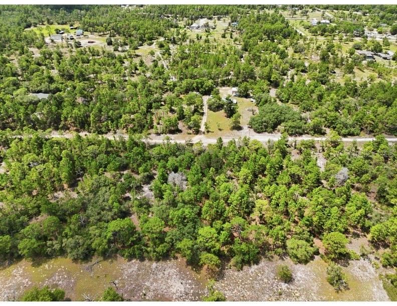 Land at 0 W CANAGAN CT, DUNNELLON, photo 2 of 6