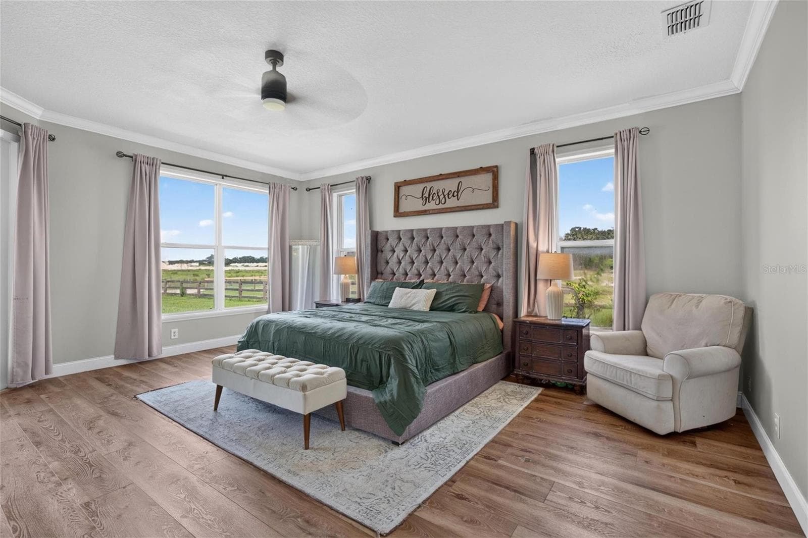 Primary bedroom - 15818 MAHONEY DR, SPRING HILL
