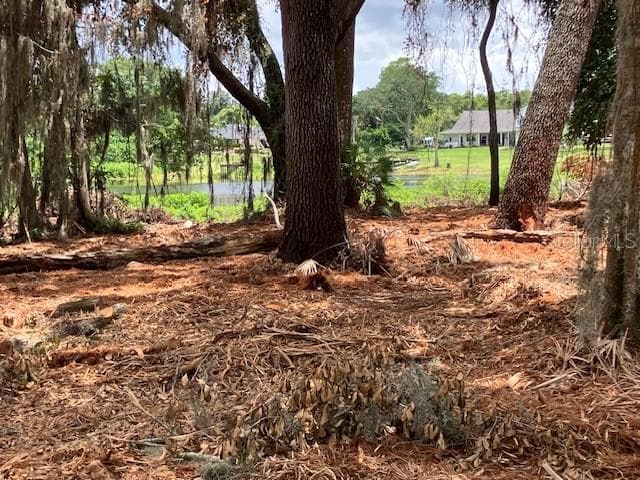 Land at DONNA LU DR, ODESSA, photo 6 of 13