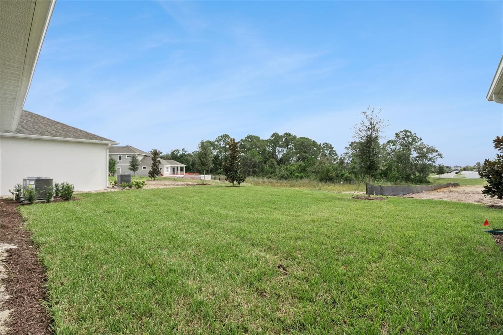 Backyard - 17422 HONEYBELL TANGELO CT, WINTER GARDEN
