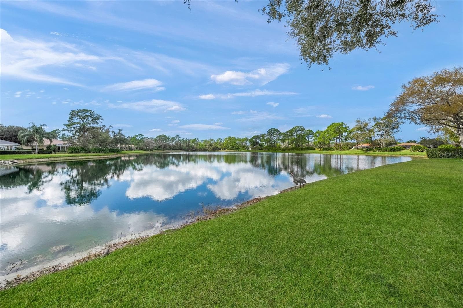 Single Family Residence at 9075 MISTY CREEK DR, SARASOTA, photo 50 of 86