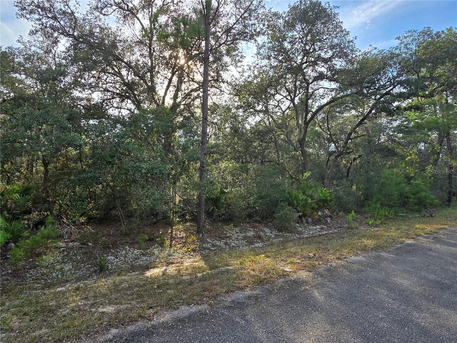 Land at FISHER WAY, OCKLAWAHA, photo 5 of 13