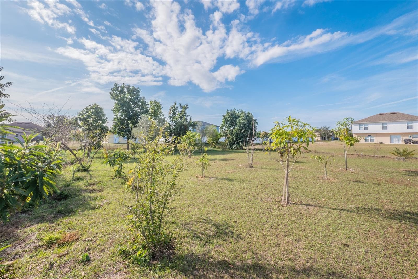 195 AURELIA CT