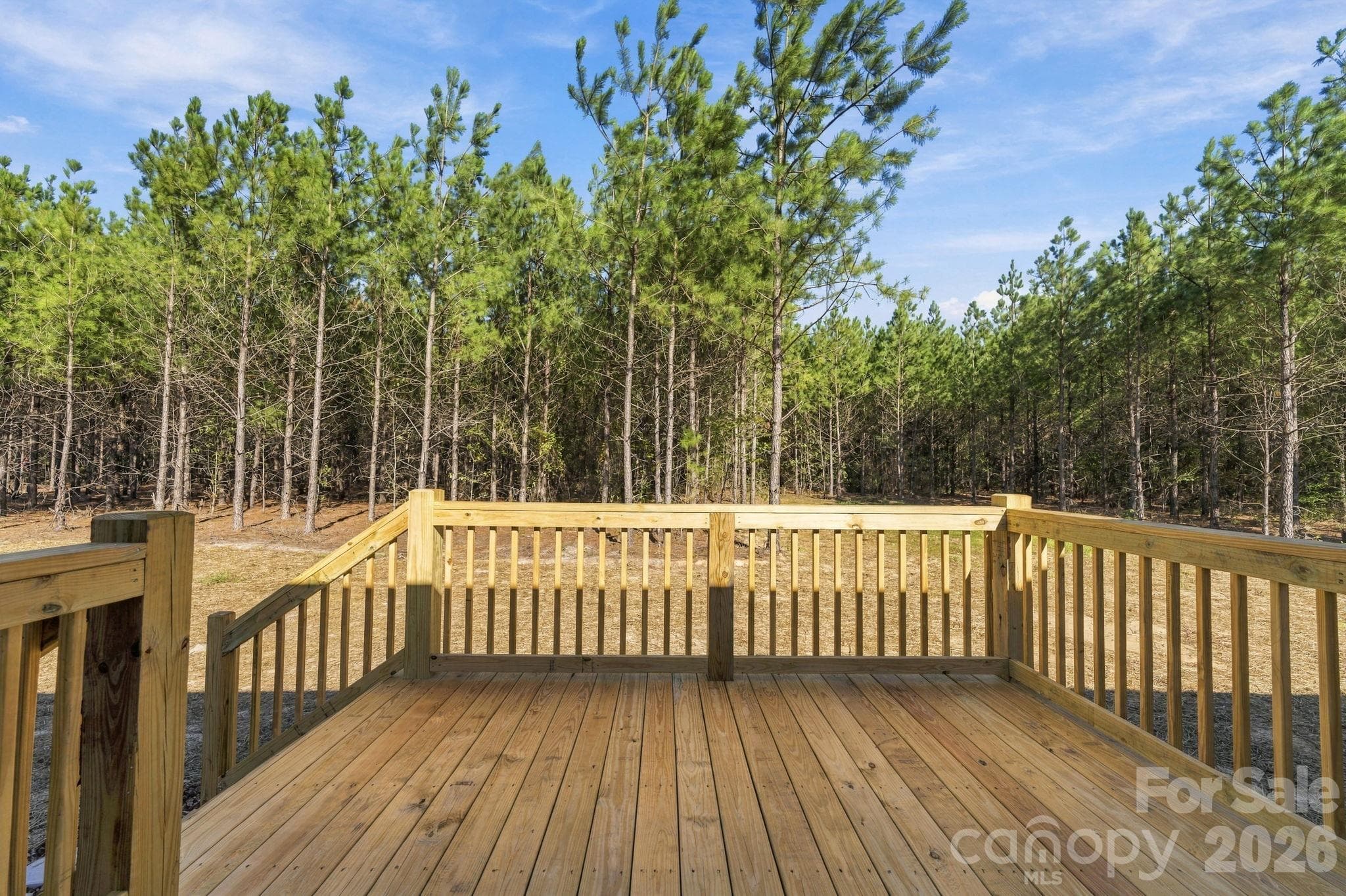 Single Family Residence at 869 Windblow Road, Jackson Springs, photo 25 of 25
