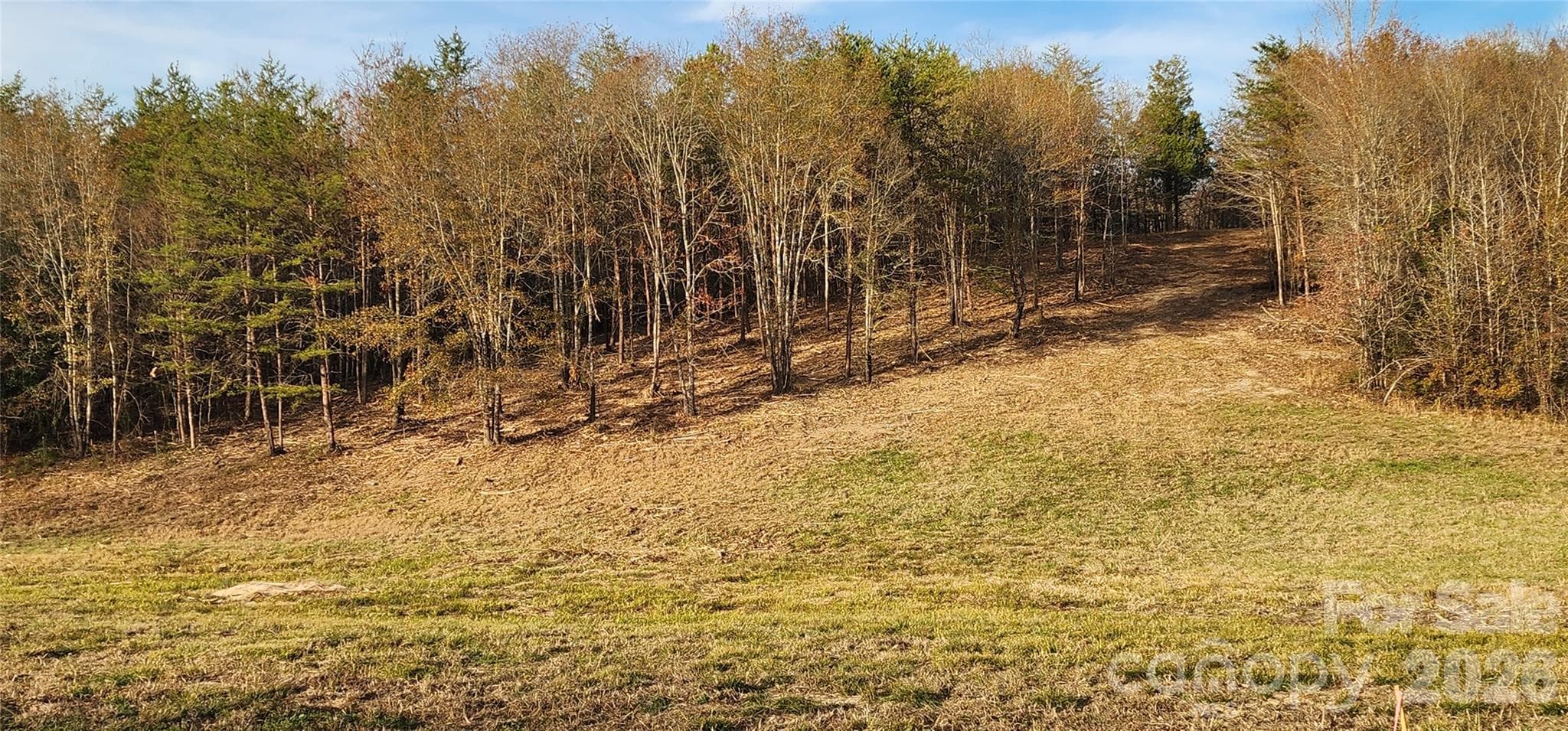 View of hill for home site - 151 Cobb Road, Blacksburg
