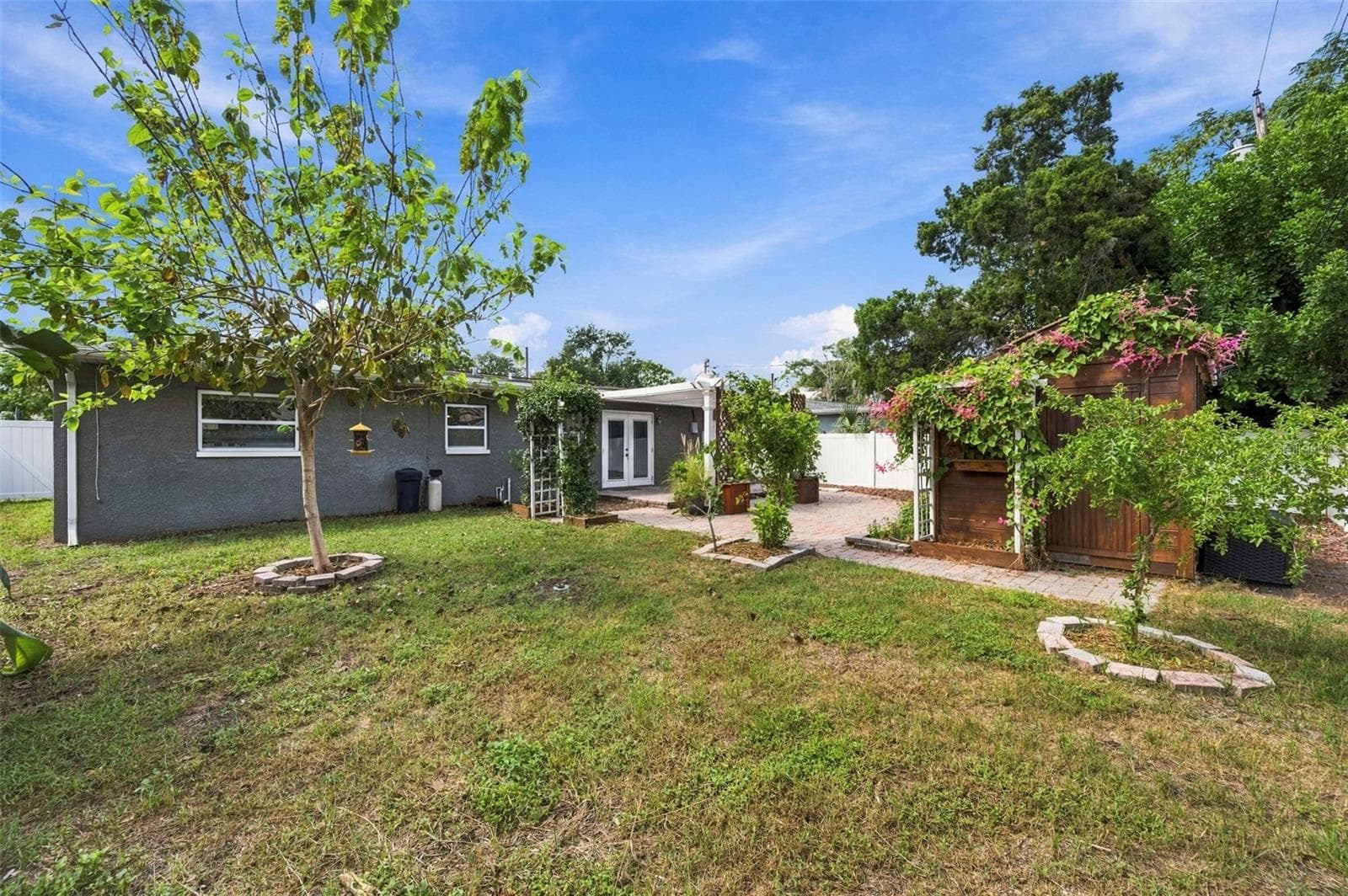 Large, fenced backyard with mature fruit trees - 620 PALM PL, SAFETY HARBOR