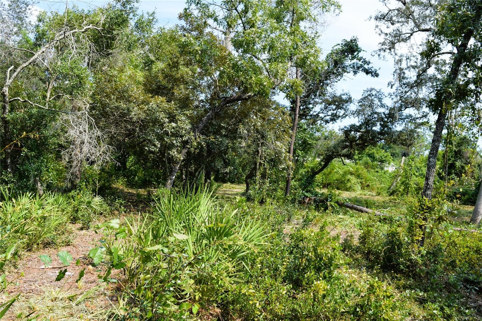 Land at 625 LAKE BUTLER AVE, OSTEEN, photo 8 of 18