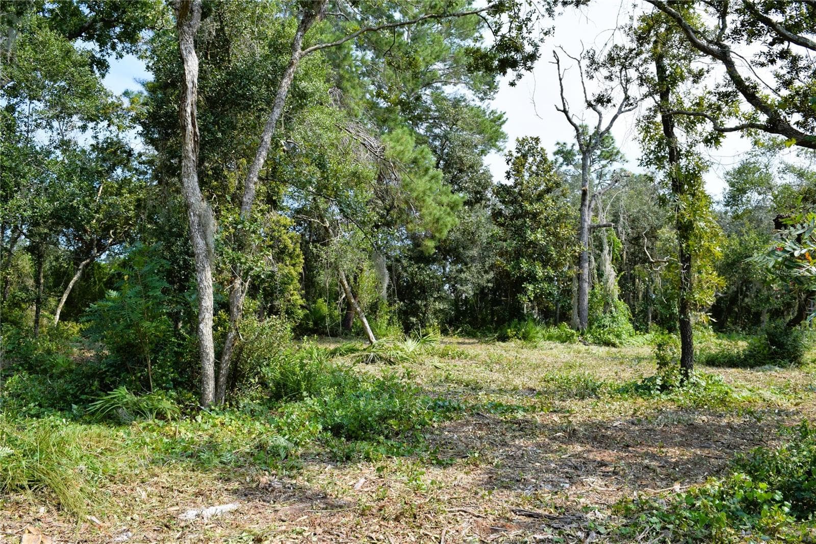 Land at 625 LAKE BUTLER AVE, OSTEEN, photo 9 of 18