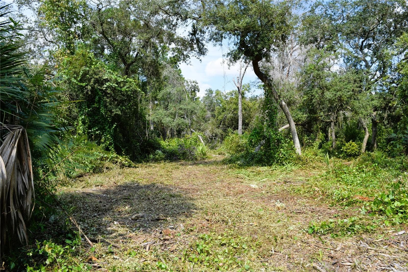 Land at 625 LAKE BUTLER AVE, OSTEEN, photo 10 of 18