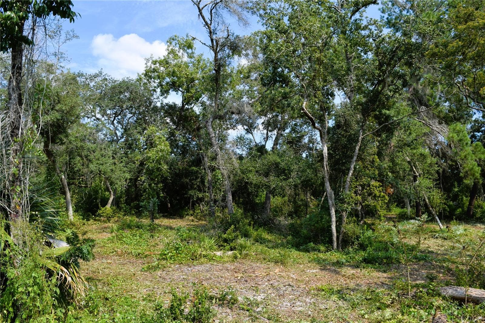 Land at 625 LAKE BUTLER AVE, OSTEEN, photo 13 of 18