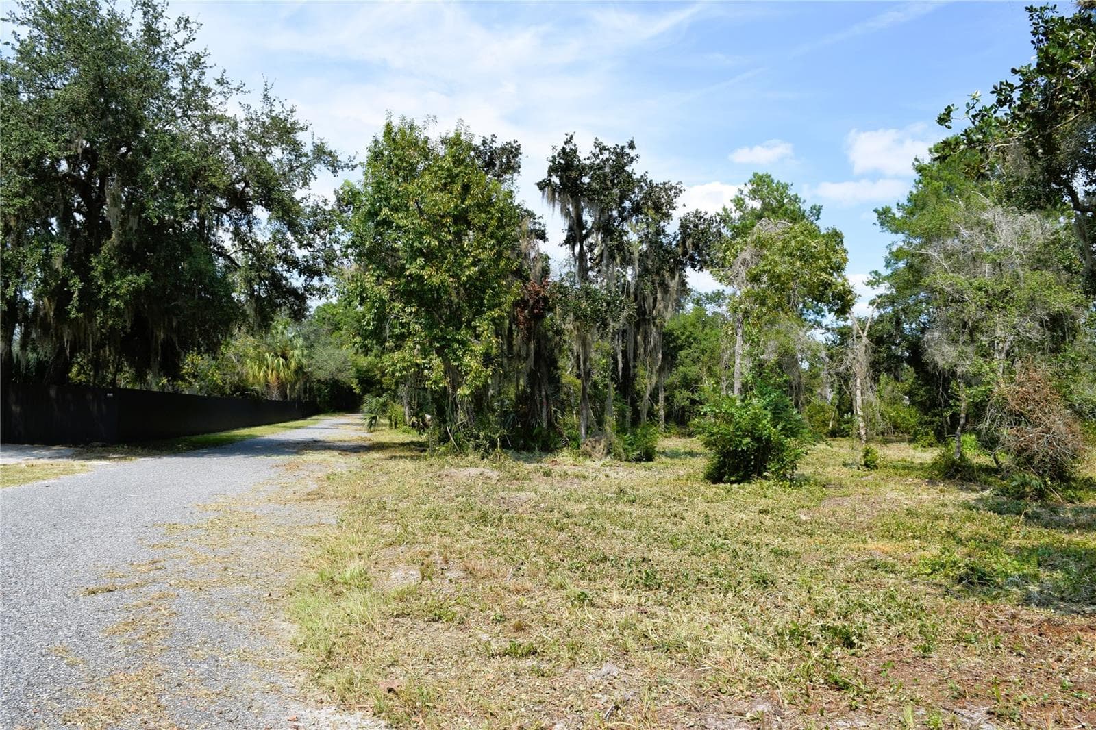 Land at 625 LAKE BUTLER AVE, OSTEEN, photo 16 of 18