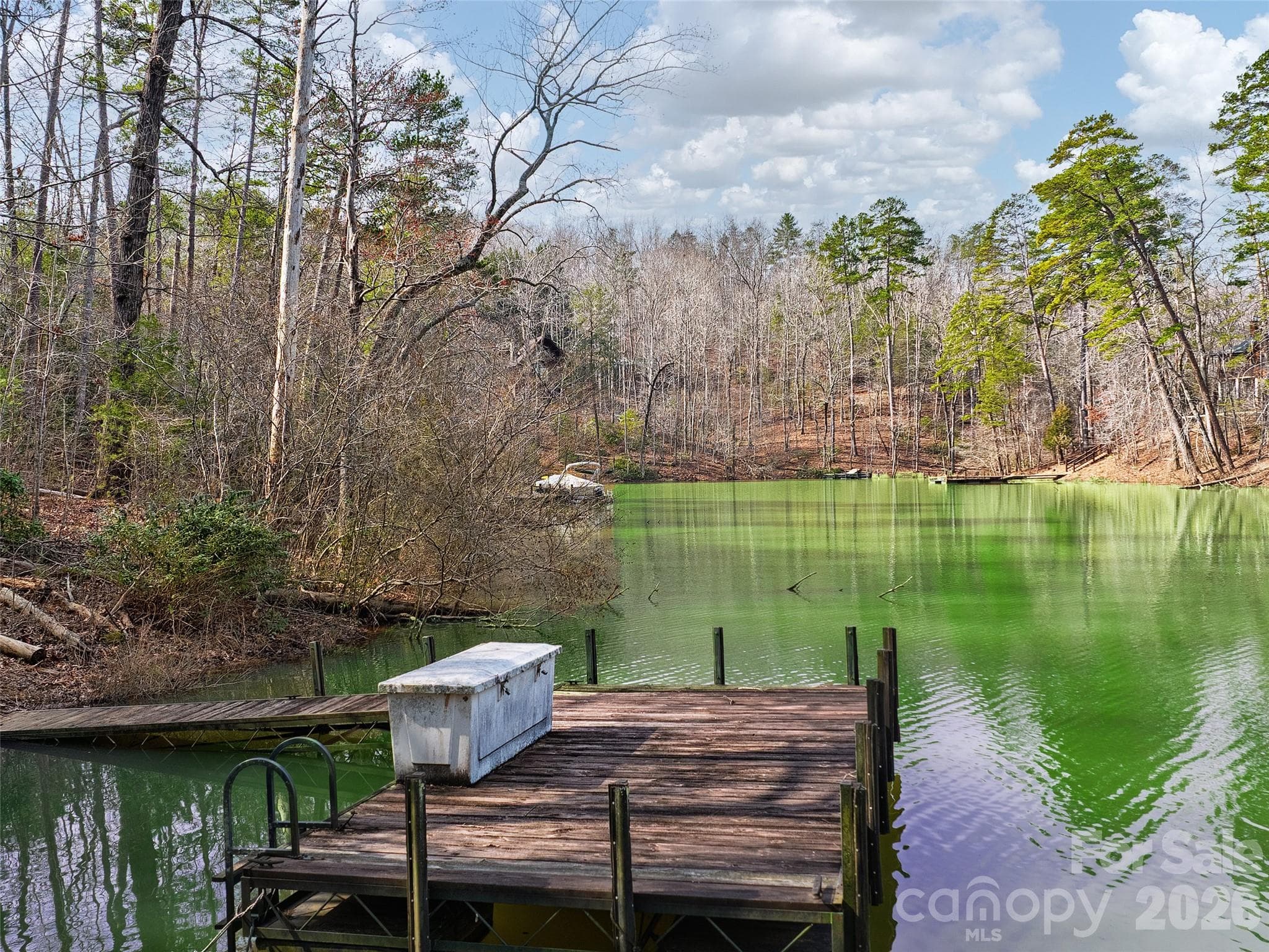 Lot at Mill Spring, photo 4 of 40