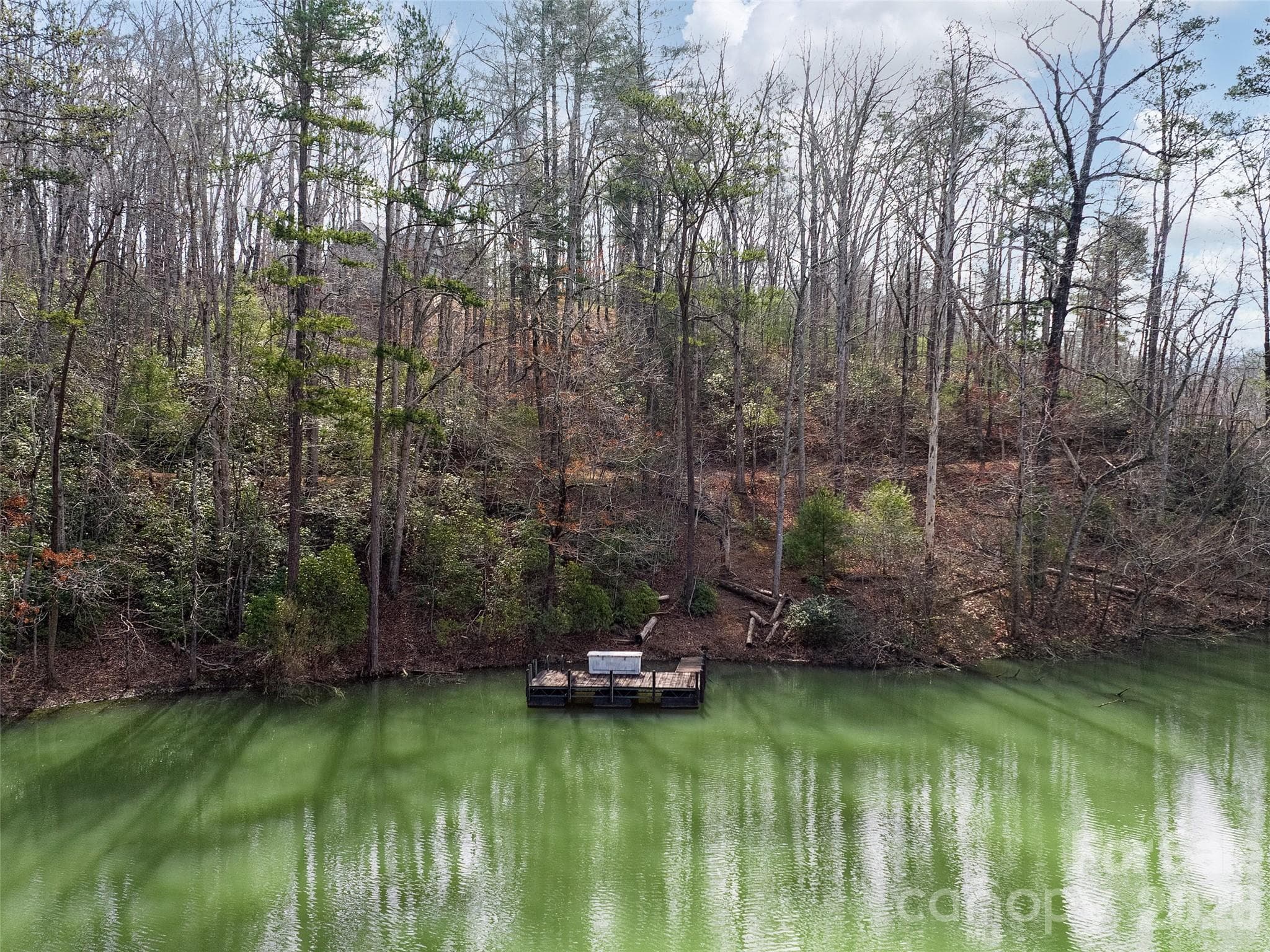 Lot at Mill Spring, photo 6 of 40
