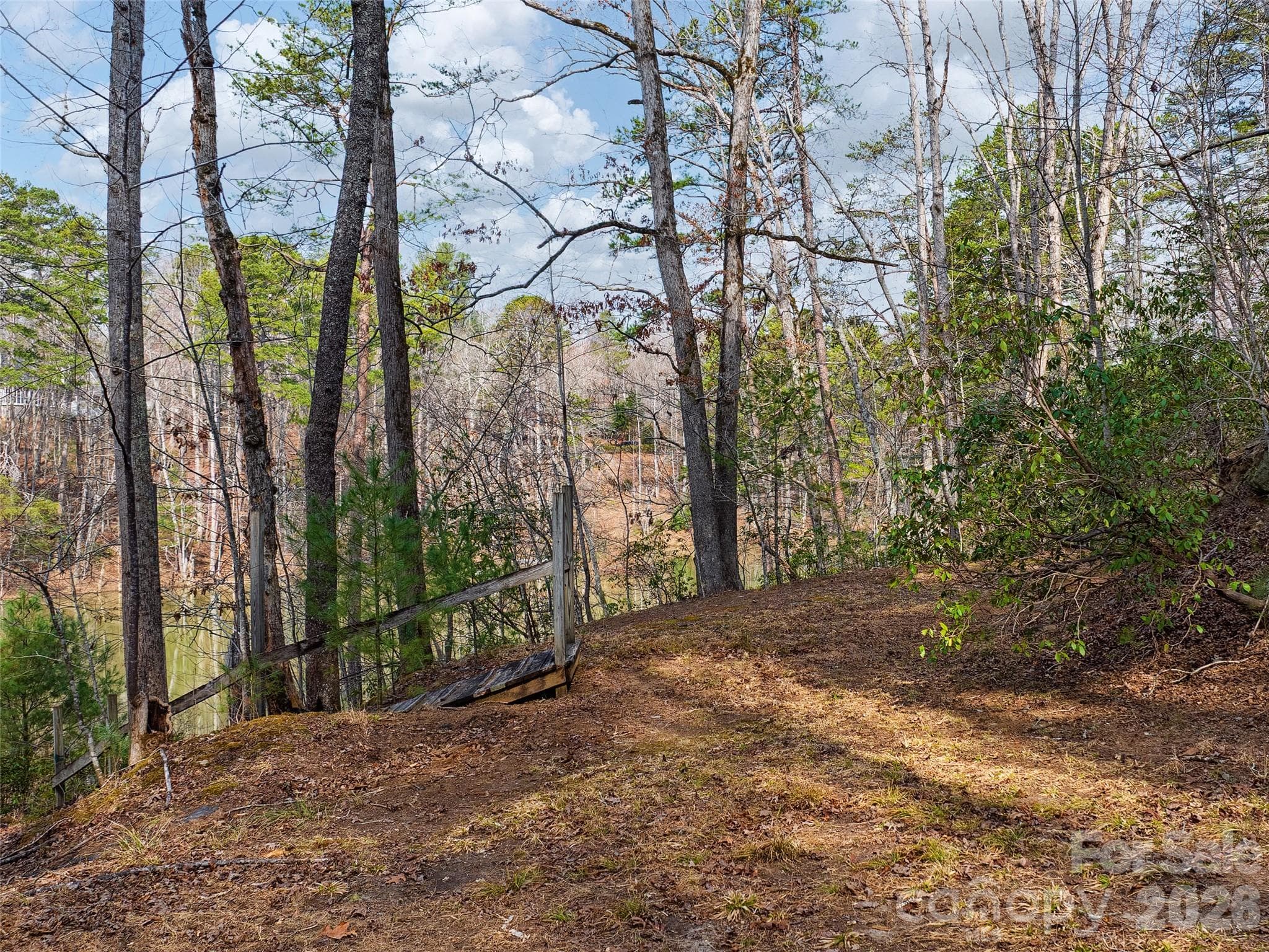 Lot at Mill Spring, photo 8 of 40