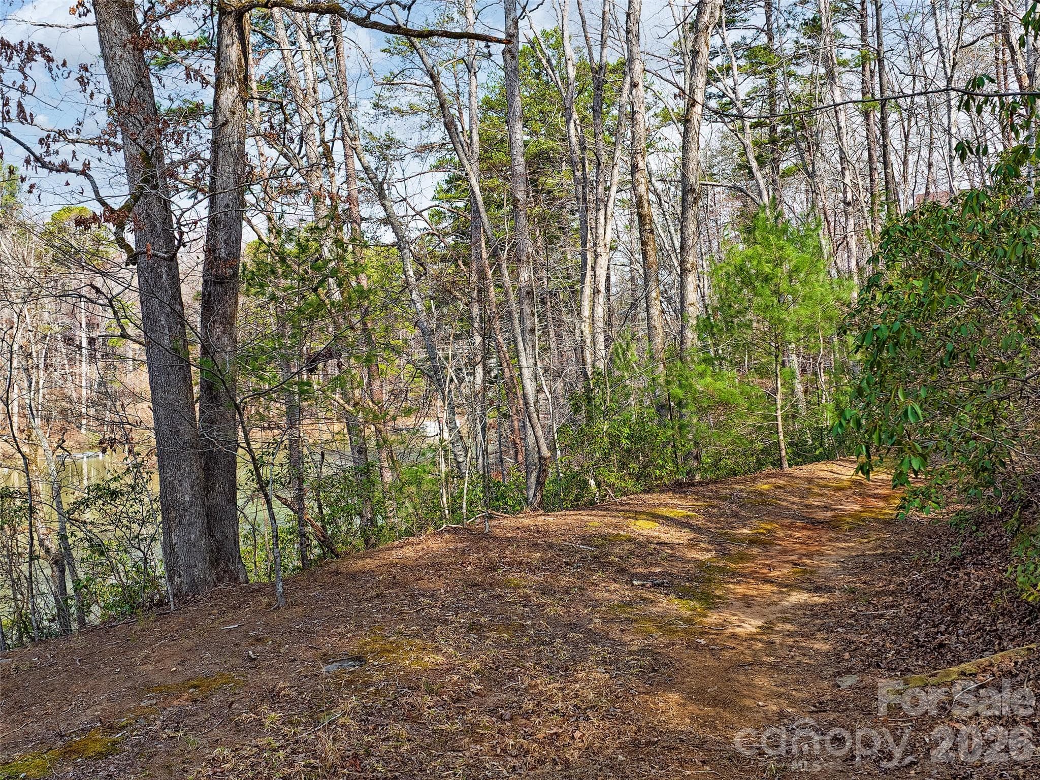 Lot at Mill Spring, photo 10 of 40