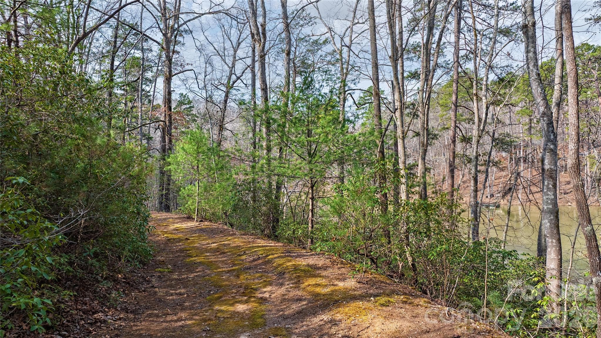 Lot at Mill Spring, photo 12 of 40
