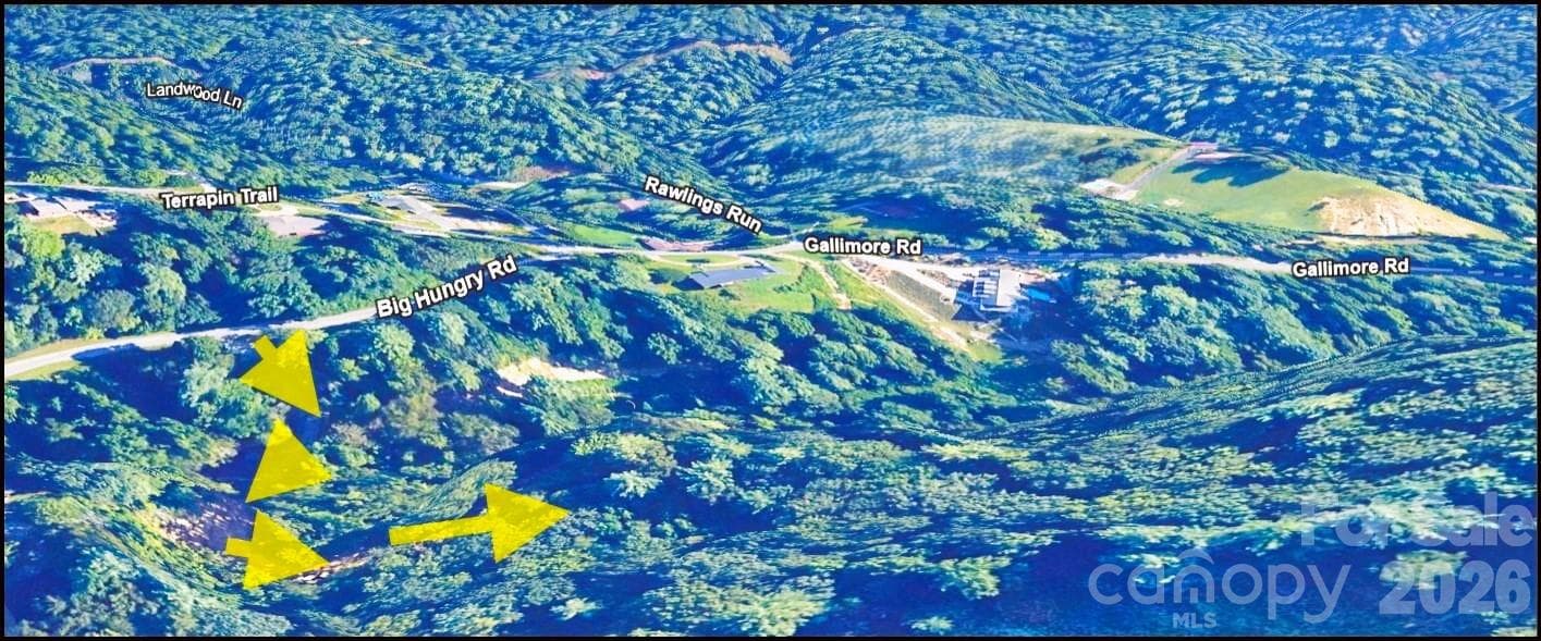 Acreage at 0 Big Hungry Road, Flat Rock, photo 3 of 15