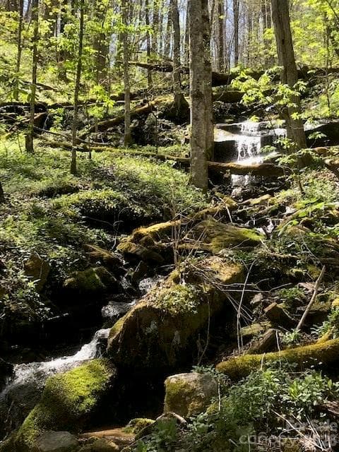 Acreage at Waynesville, photo 2 of 16