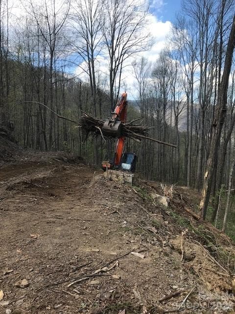 Acreage at Waynesville, photo 4 of 16