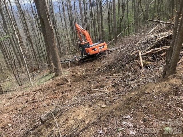 Acreage at Waynesville, photo 6 of 16