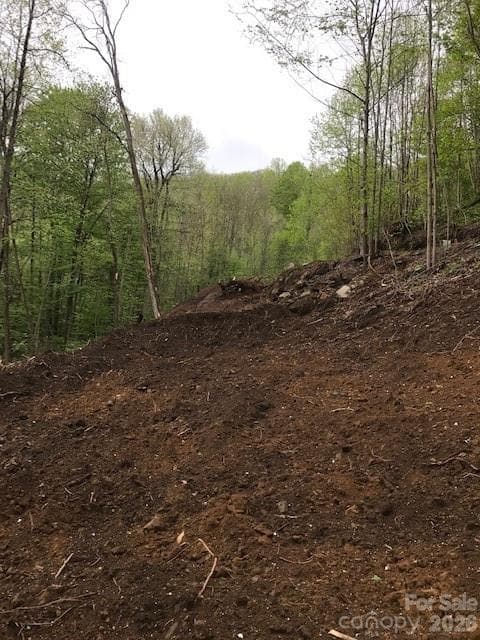 Acreage at Waynesville, photo 10 of 16