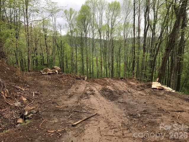 Acreage at Waynesville, photo 12 of 16