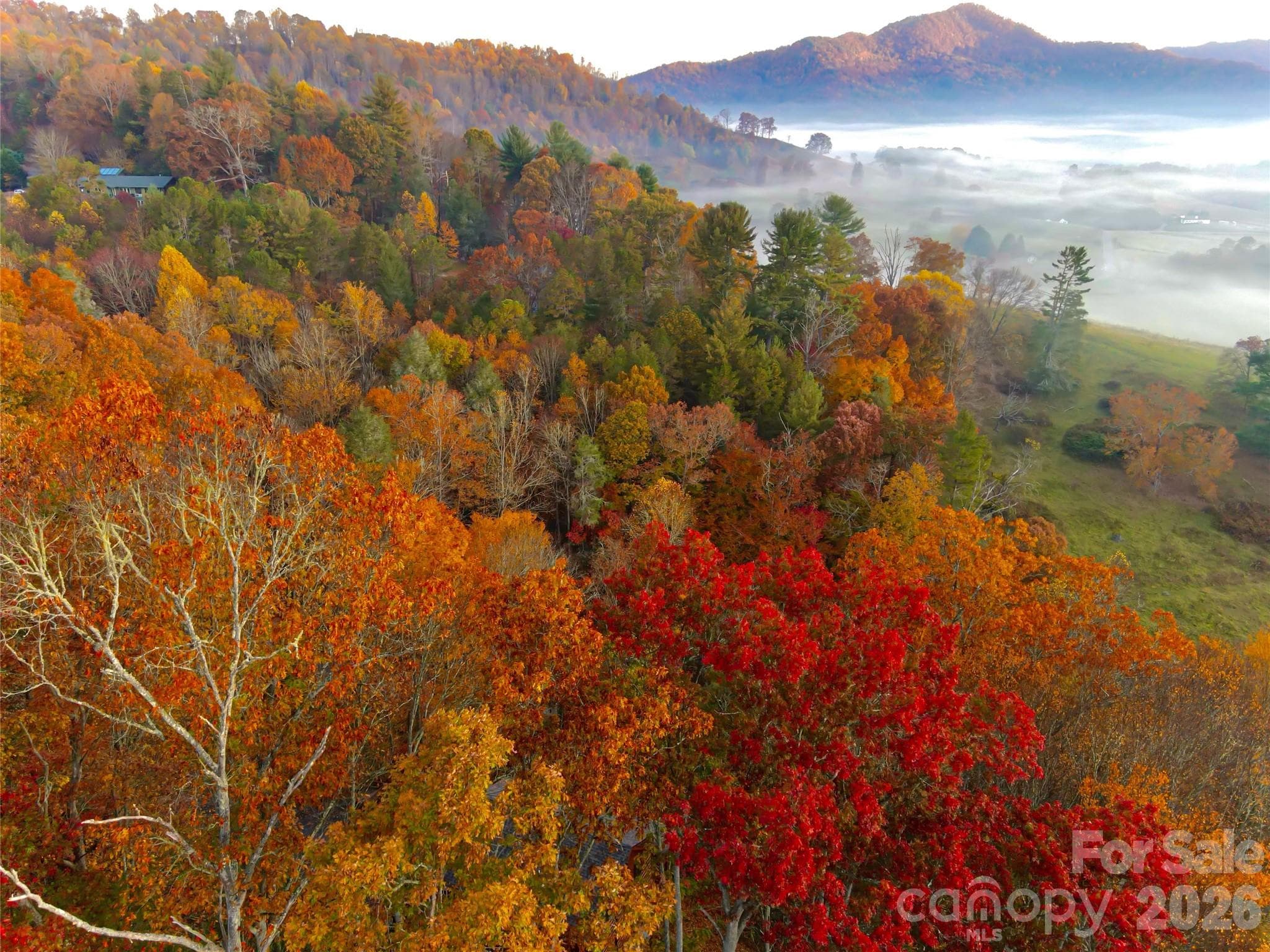 Fall in the mountains is irresistible from this lot! - Waynesville