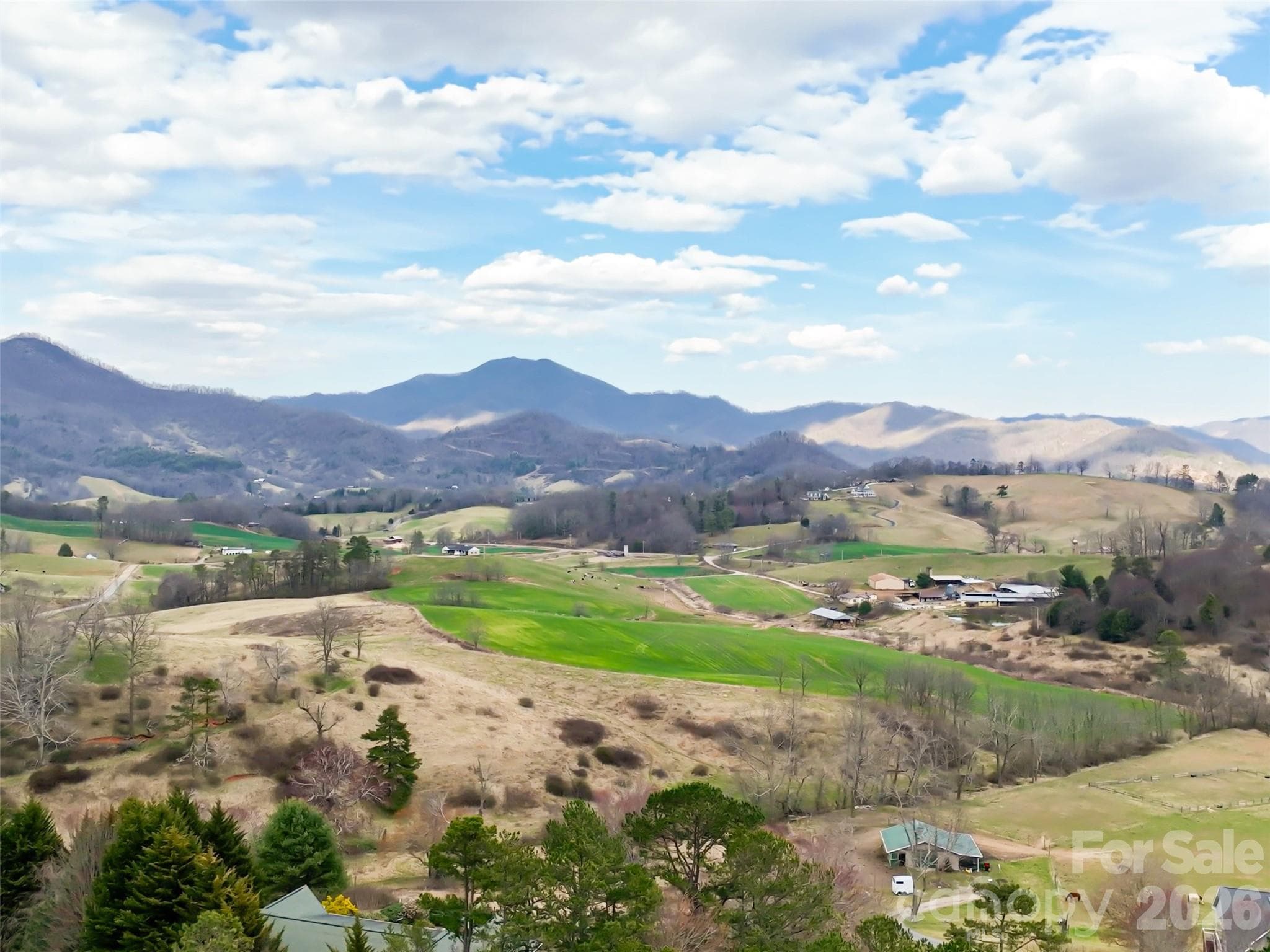 potential view of ironduff valley - Waynesville