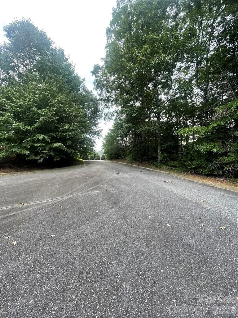 Lot at Hickory, photo 10 of 10