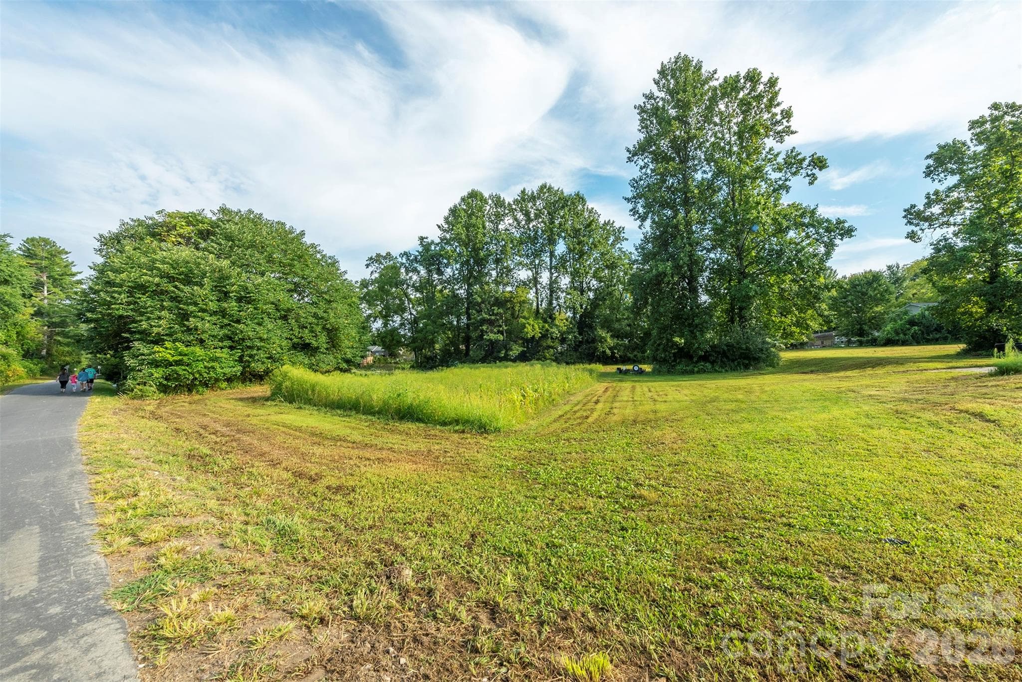 View from Ecusta Trail - SW portion of 2.2 acre parcel - Hendersonville
