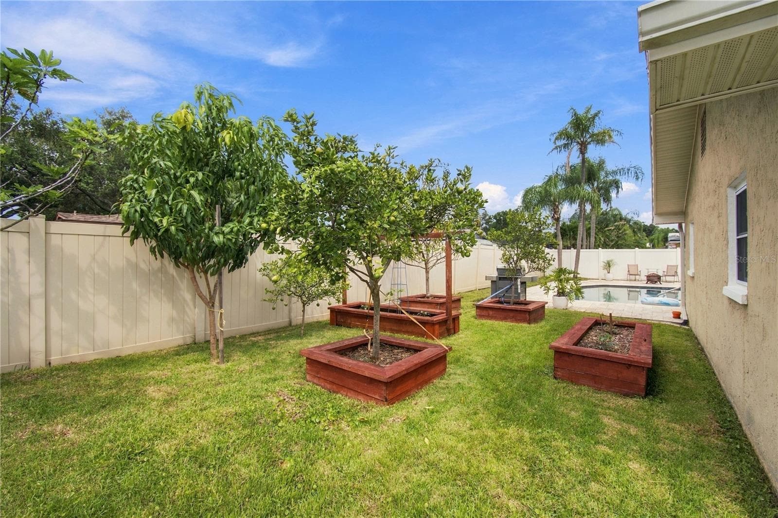 Fruit salad in your back yard! - 1967 ARVIS CIR E, CLEARWATER