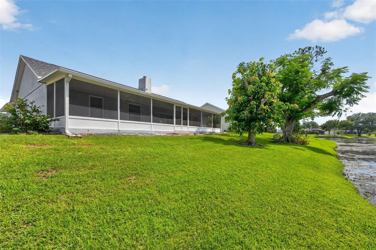 Even a fruit producing manago tree adds to the beauty of this homesite. - 2925 EAGLE LAKE DR, ORLANDO
